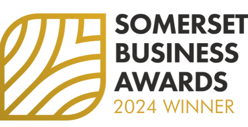 somerset business award